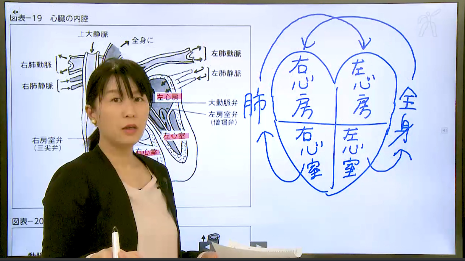 登録販売者講座の講義DVD