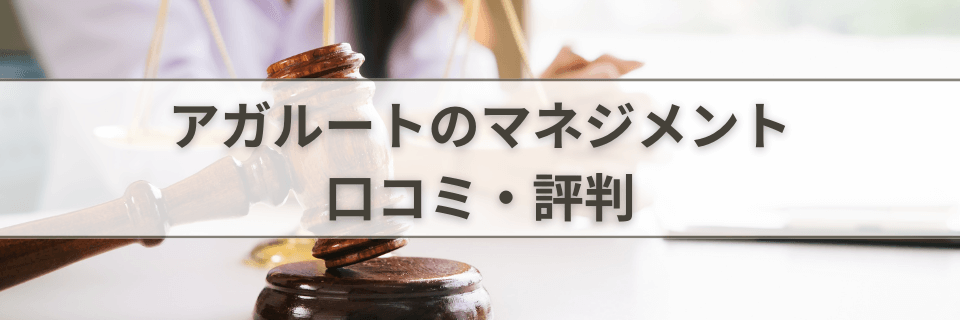 【評判/口コミ】アガルートのマネージメントオプション（マネオプ）| 予備試験最短合格カリキュラム